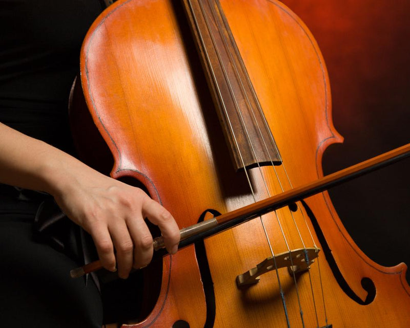 Working Class Musicians Face Classical Music Career Barriers