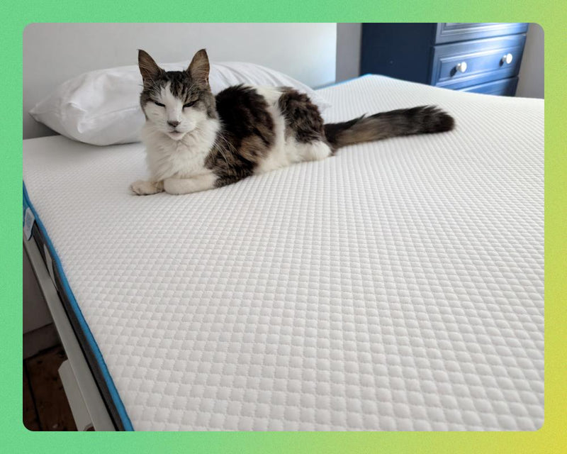 Best Mattress Toppers for a Comfortable Night's Sleep