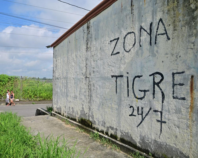 US Designates Ecuador's Los Tiguerones Gang as Terrorist Group