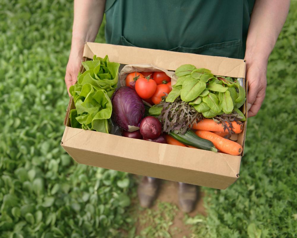 England's Organic Farming Plan Targets 10% of Land by 2036