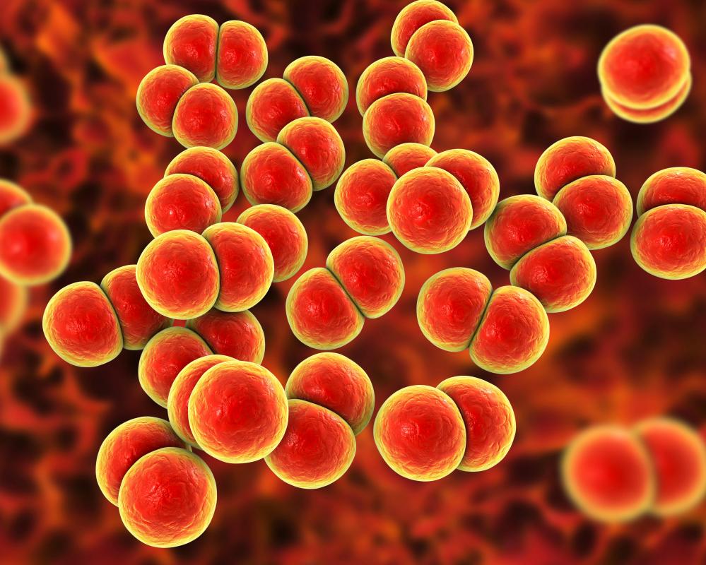 Australia STI Rates Surge: Gonorrhoea and Syphilis Cases Rise