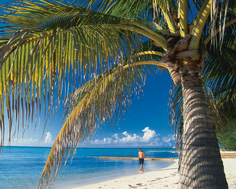 How Offshore Tax Havens Thwart UK Transparency Reforms