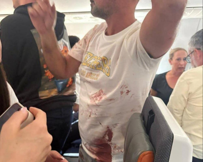 Israeli Minister Claims Terrorist Wanted to Crash Plane