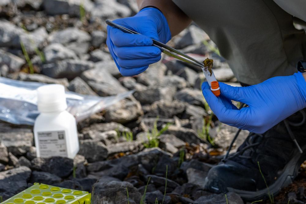 Big Pharma Accused of Free-Riding on Nature as Cali Fund Stalls