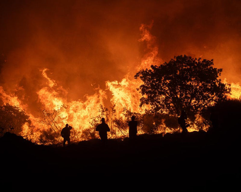 Climate Crisis Mind Change: How Extreme Weather Shifts Views
