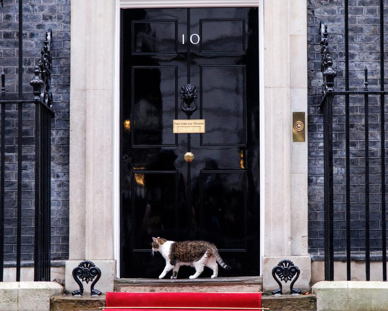 Booking.com Security Failures Exposed by Fake Downing Street Listing