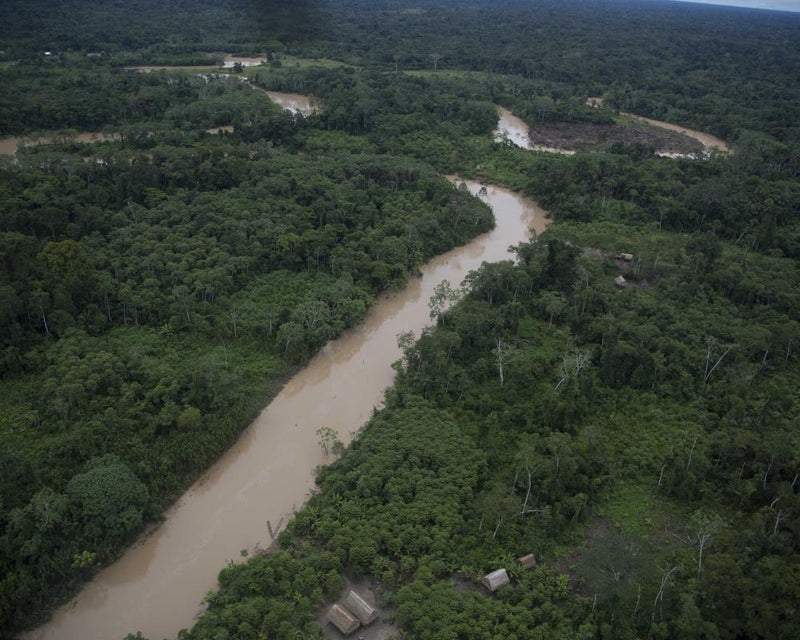 Amazon Basic Income Pilot: £2 a Day Helps Protect Rainforest