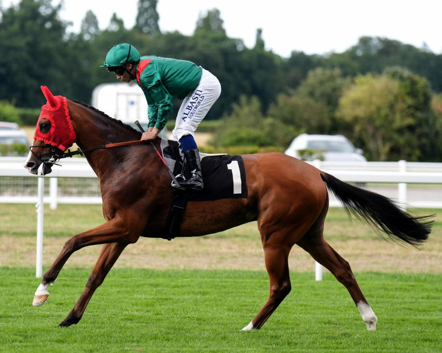 British Champions Day at Ascot: Champion Stakes and QEII Stakes Live