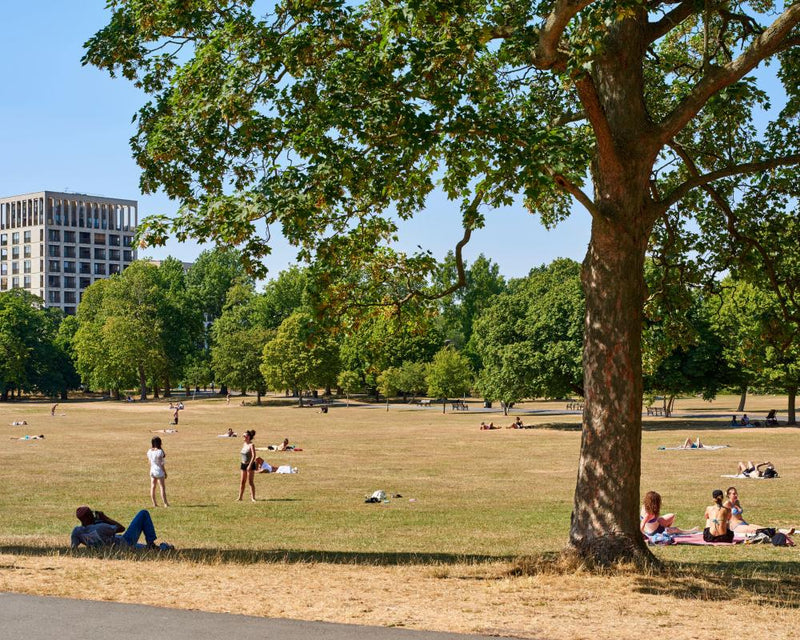 Access to Nature Inequalities on Par With Victorian Britain
