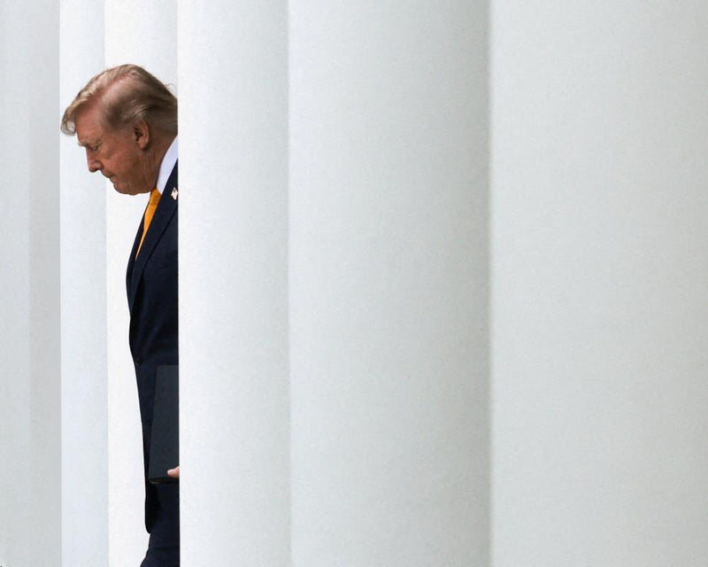 Legal Veterans Fight Trump's Assault on Democracy: Key Cases