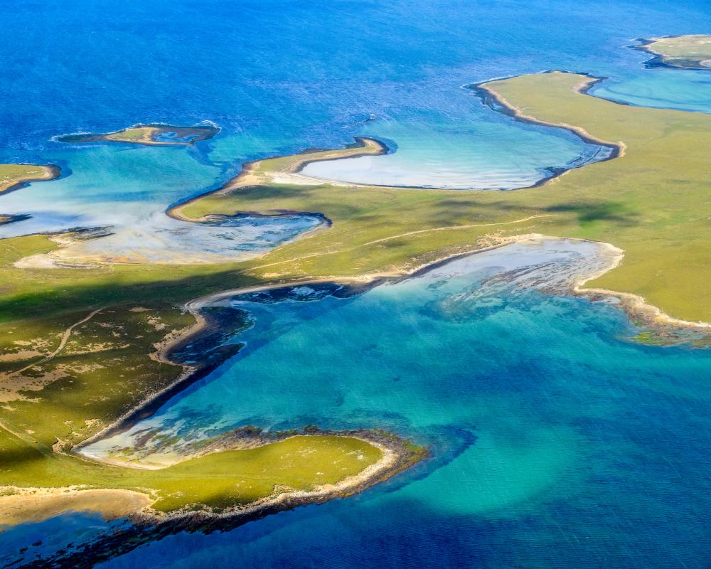 Falkland Islands Salmon Farm Plans Spark Referendum Call