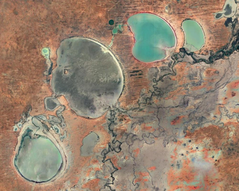 Menindee Lakes Hit Five-Year Low as Mass Fish Deaths Loom