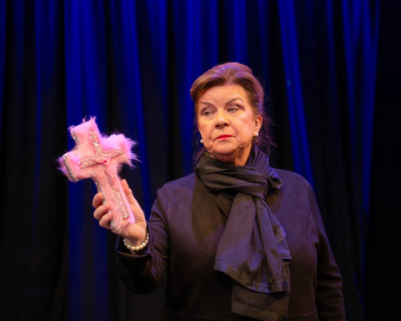 Cathy Review: Elaine C Smith Shines in Snappy Family Comedy