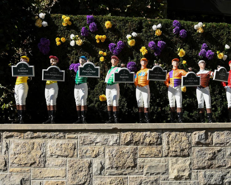 Breeders' Cup 2026: Folsom Blues Favored in Juvenile Turf