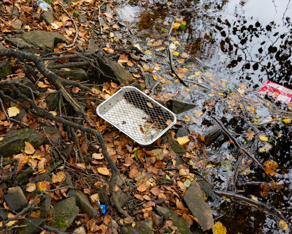 Disposable Barbecue Ban Urged as UK Wildfire Risk Soars
