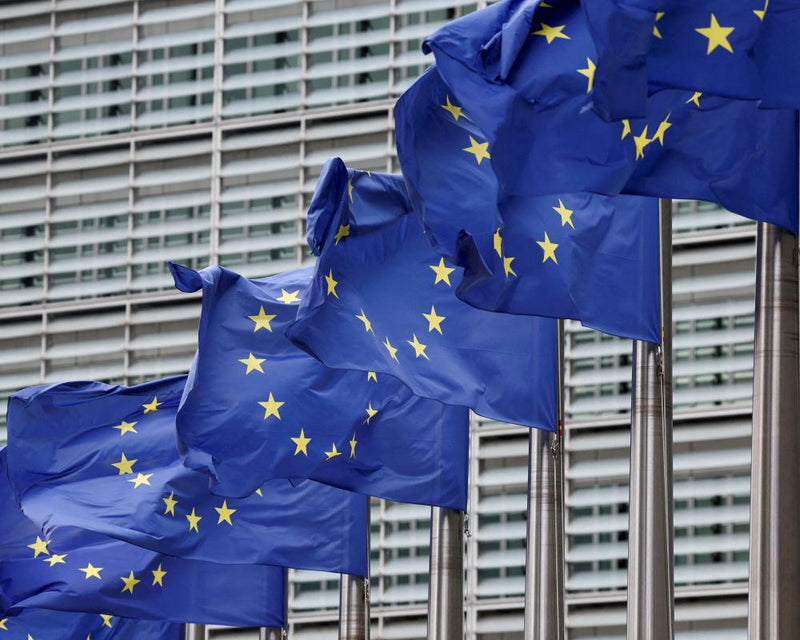 Europeans Want United Europe but Doubt Path to Achieve