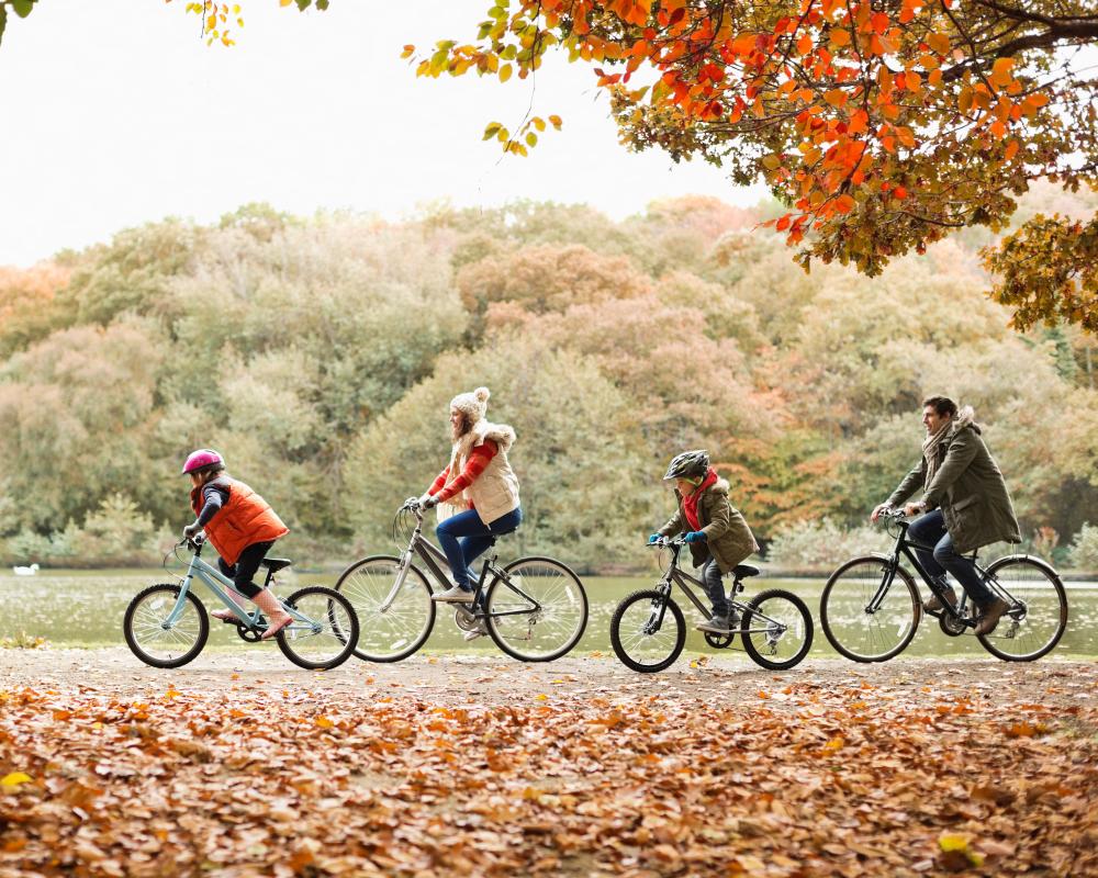 Best Autumn Day Out in the UK: Forests, Foraging & Fiery Colors