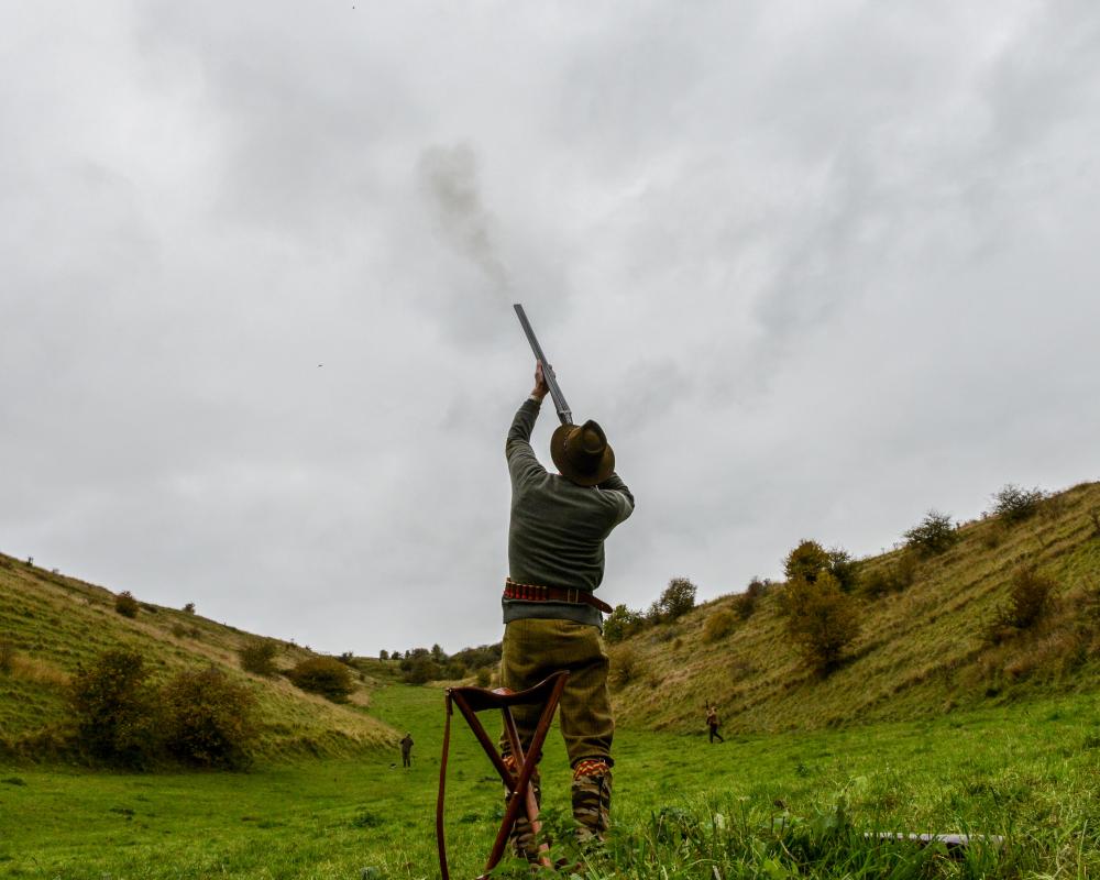 England May Curb Mass Game Bird Breeding Without Welfare Checks