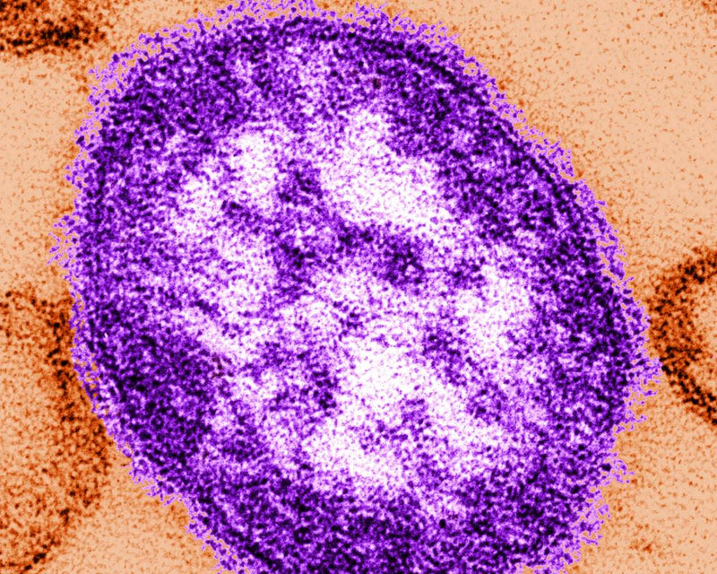 Measles Outbreak in Pennsylvania: Infant Deaths Spark Health Alert