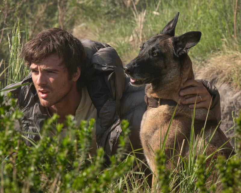 The Dog Stars Review: Ridley Scott's Postapocalyptic Drama Misfires
