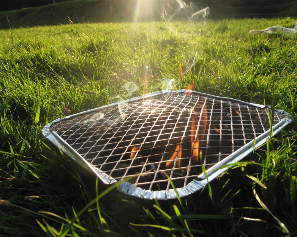 Disposable Barbecue Ban: UK Wildfire Prevention Measures