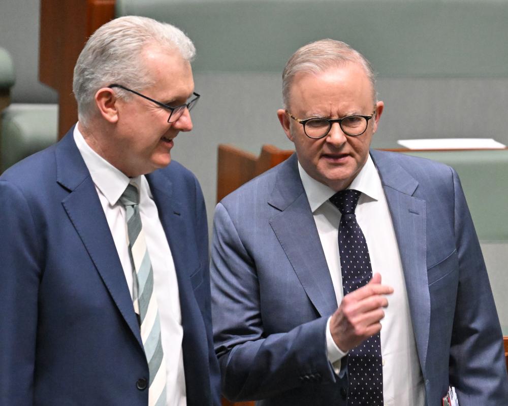Australia Immigration Policy: Labor's Migration Cut Chaos Explained