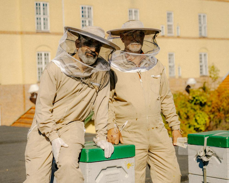 Urban Beekeepers Challenge Broken Economic System with Honey