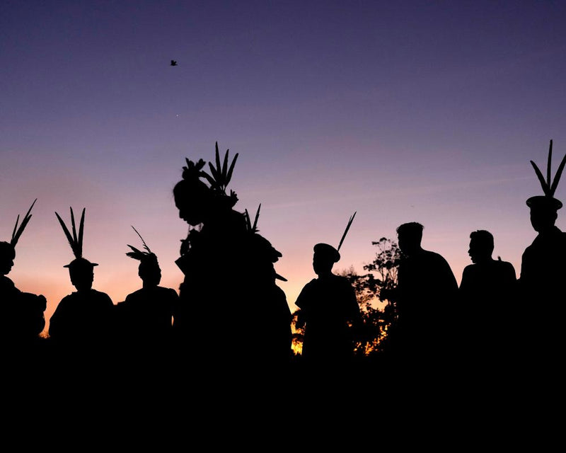 Nature Defenders Face Deadly Threat, Build Self-Defence Units