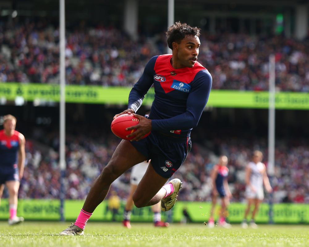 Demons Stun Dockers in Thriller to Emerge as AFL Premiership