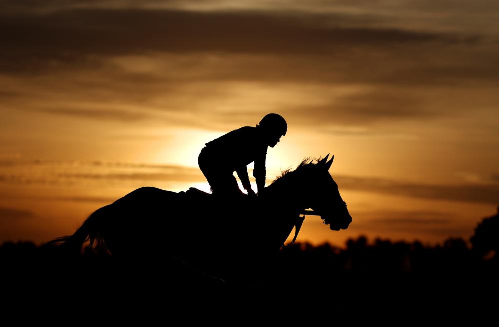 Fair Hill Five Betting Coup Explained: Horse Racing's Transatlantic