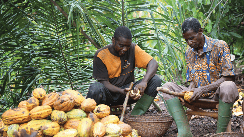 How Ferrero is rethinking responsible sourcing at scale