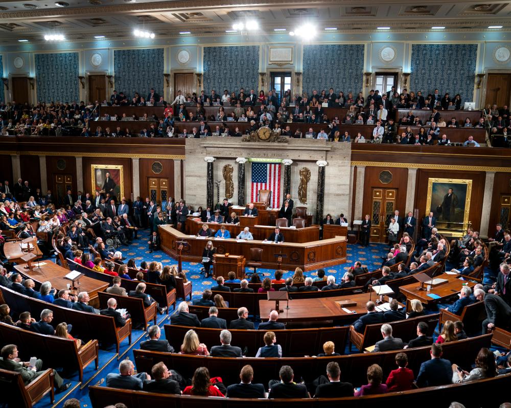 Americans in Britain: How Your Vote Shapes Congress Control