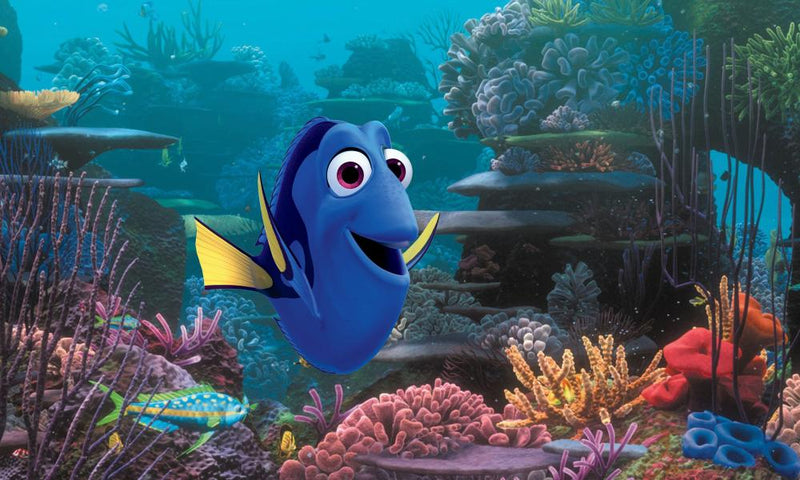 Fish Tank Puzzle: Solve the 3D Path Challenge