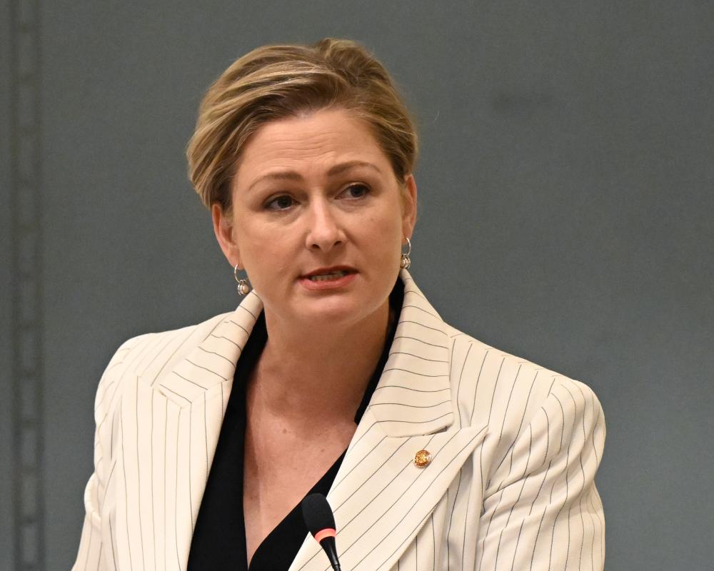 Queensland Minister Amanda Camm Resigns Citing Health and Safety