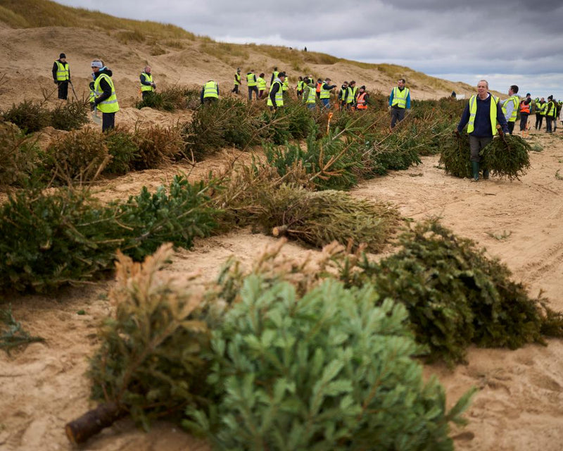 Community Environmental Action Groups: Share Your Impact Story