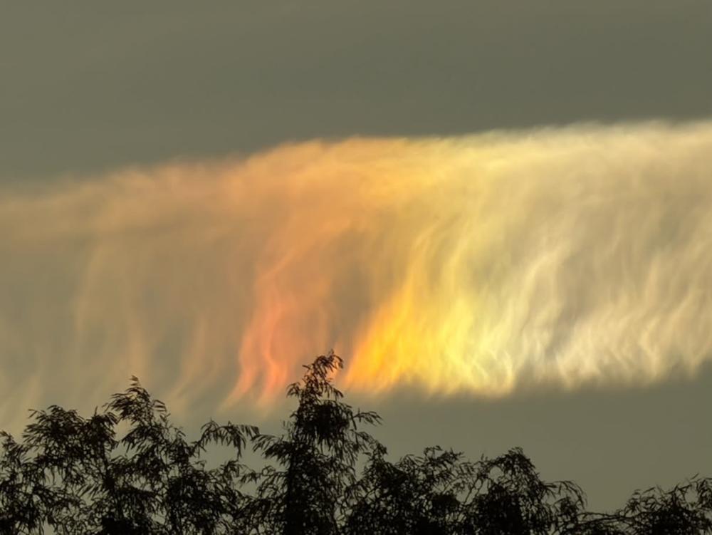 Iridescent Clouds Illuminate Victoria Skies in Rare Phenomenon
