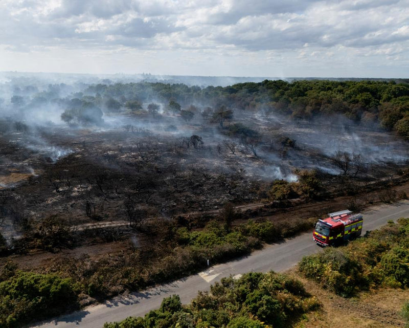 UK Government Quietly Drops England Wildfire Plan
