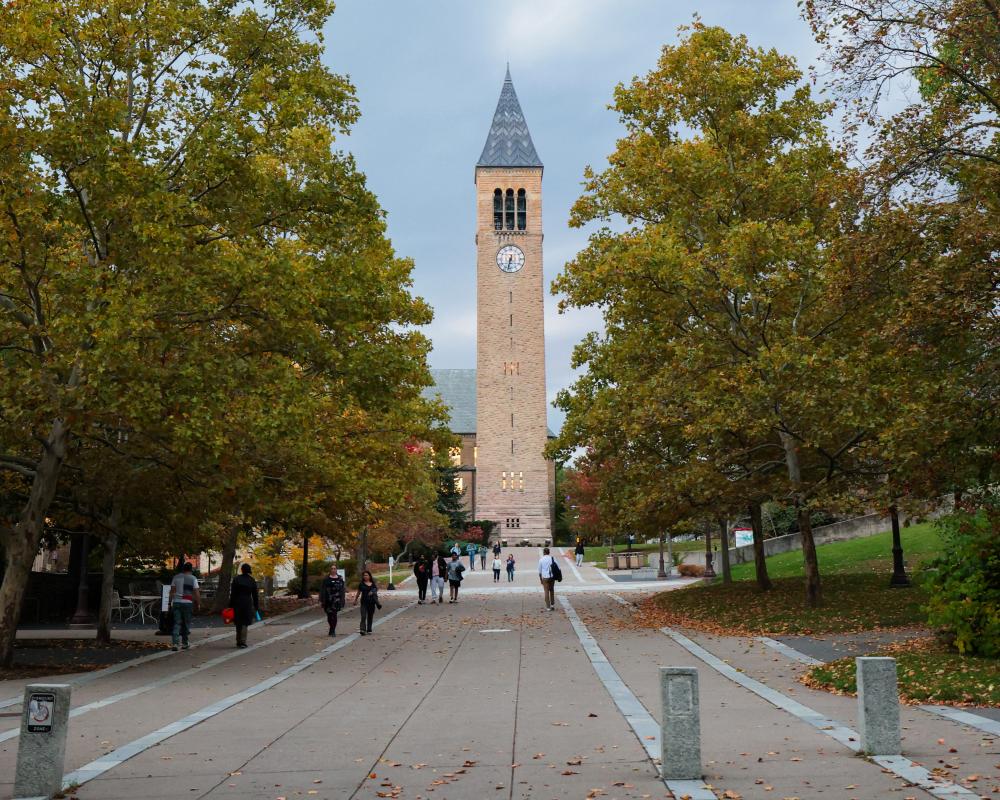 Cornell Ex-Student Says President Left Her Unsupported in Assault Case