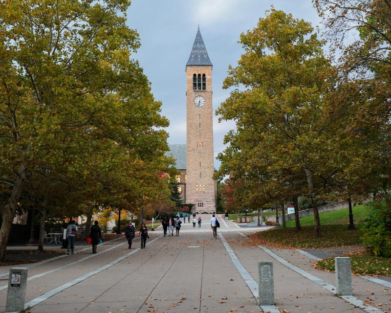 Cornell Ex-Student Says President Left Her Unsupported in Assault Case