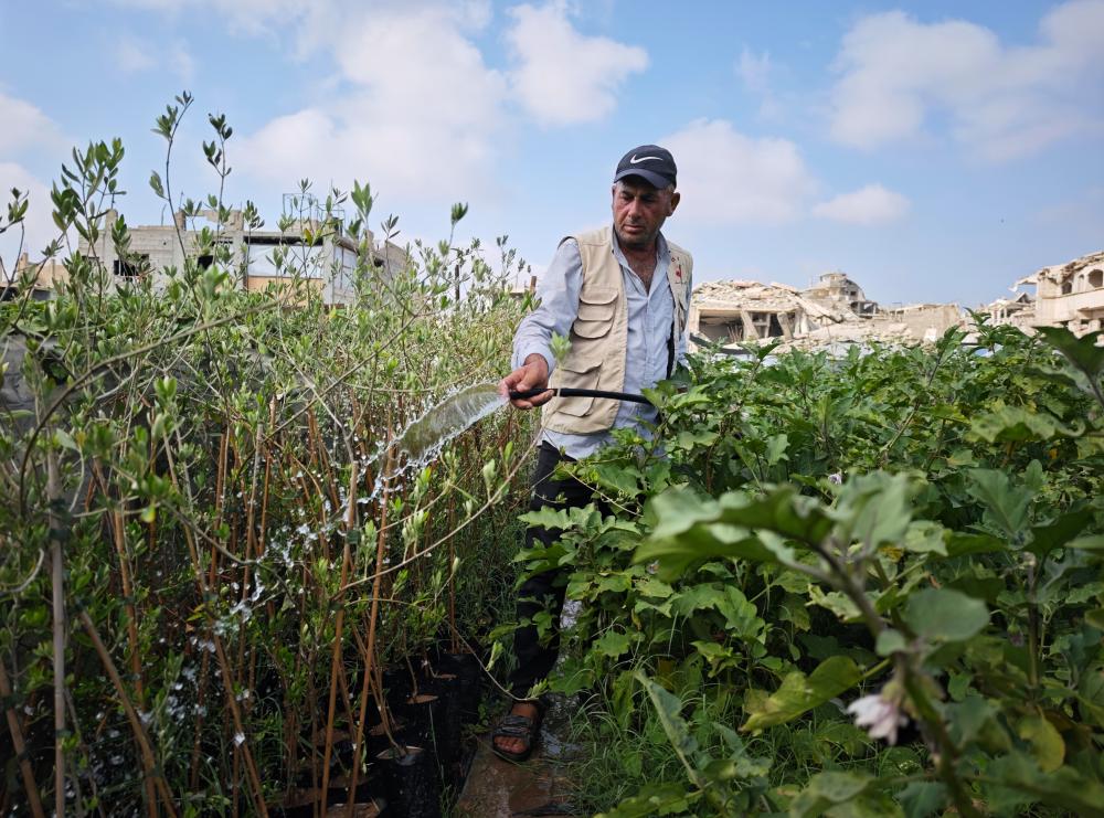 Gaza Farmers Fight to Survive Amid War and Devastation