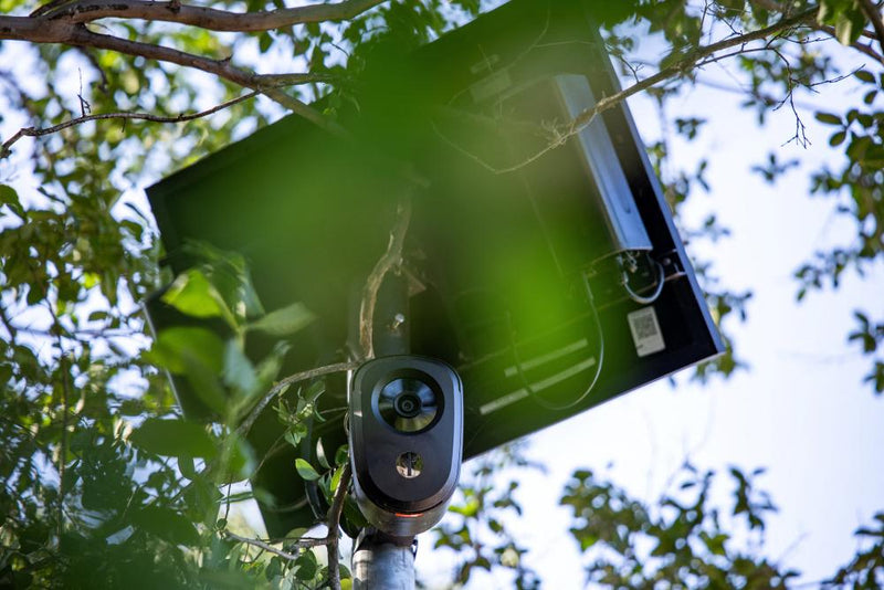 Flock Camera Ban Fails to End Surveillance in US Cities