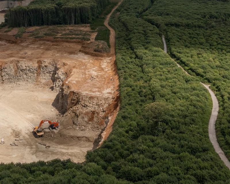 Reform Quarry Plan Threatens Ancient Kent Woodland: Irreplaceable