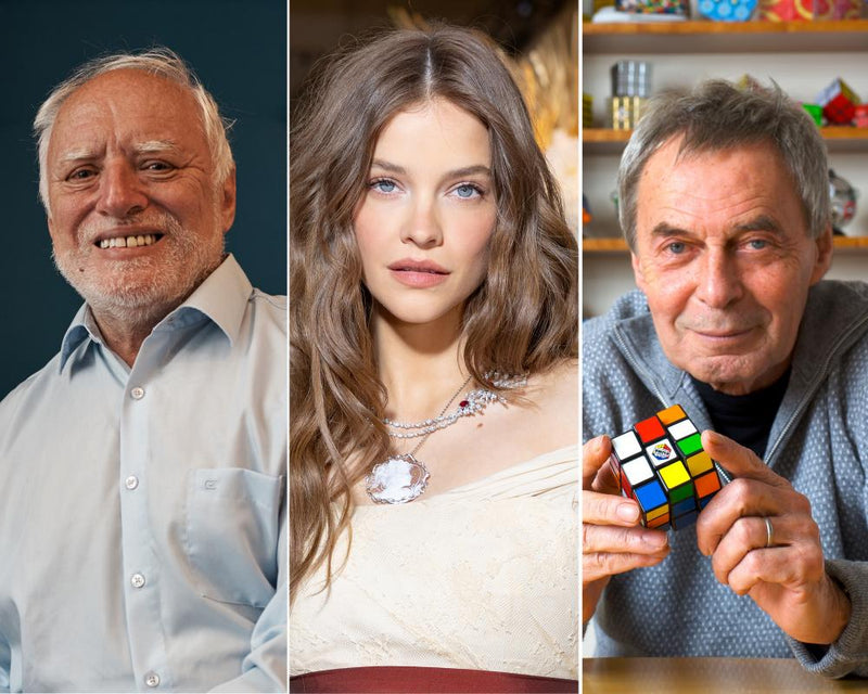 Hungary's Next President: Meme Star Hide the Pain Harold Leads