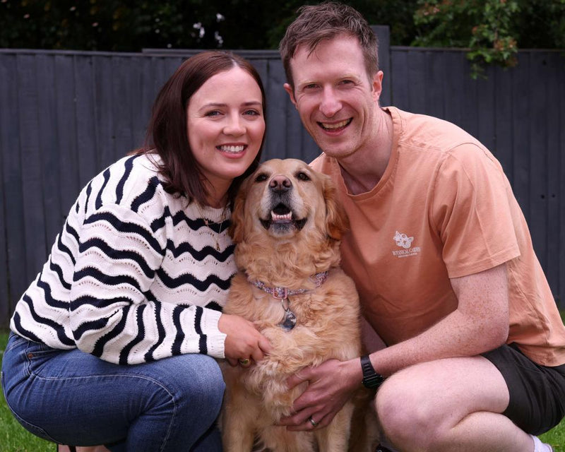 Golden Retriever Polly Saves Owner's Life in Cardiac Arrest