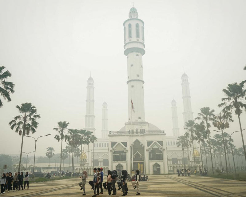 Indonesia Wildfire Lawsuit: Gross Negligence and Haze Crisis