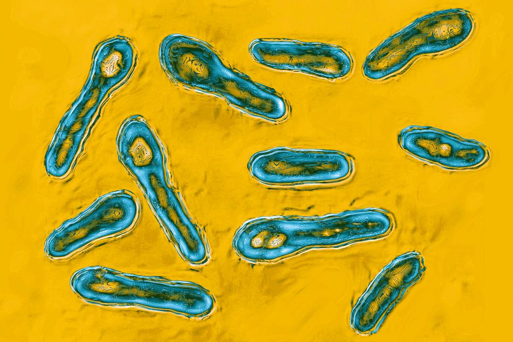 Med Spa Owner Admits Botulism Outbreak From Bootleg Botox