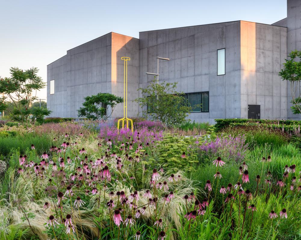 Urban Gardeners Transforming Communities: Green Space Care Tips