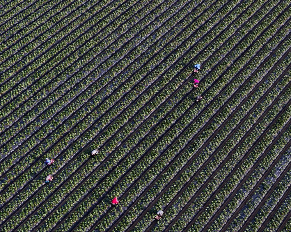 US Child Labor Deaths Data Missing for Over Half of Cases