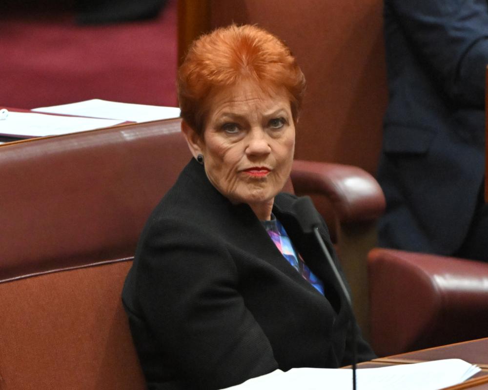 Pauline Hanson's Domestic Violence Comments Are Dangerous