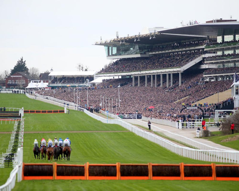 Jockey Club Quits RCA: British Horse Racing Shaken
